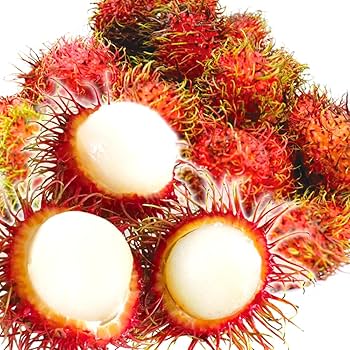 Amazon.co.jp: ランブータン 30玉 メキシコ産他 ご家庭用 フレッシュ